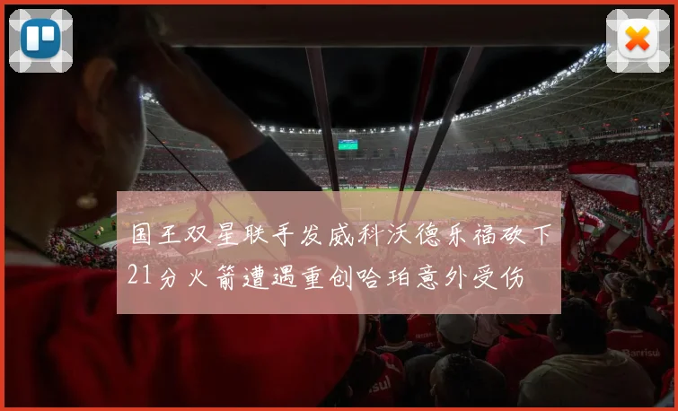 国王双星联手发威科沃德乐福砍下21分火箭遭遇重创哈珀意外受伤
